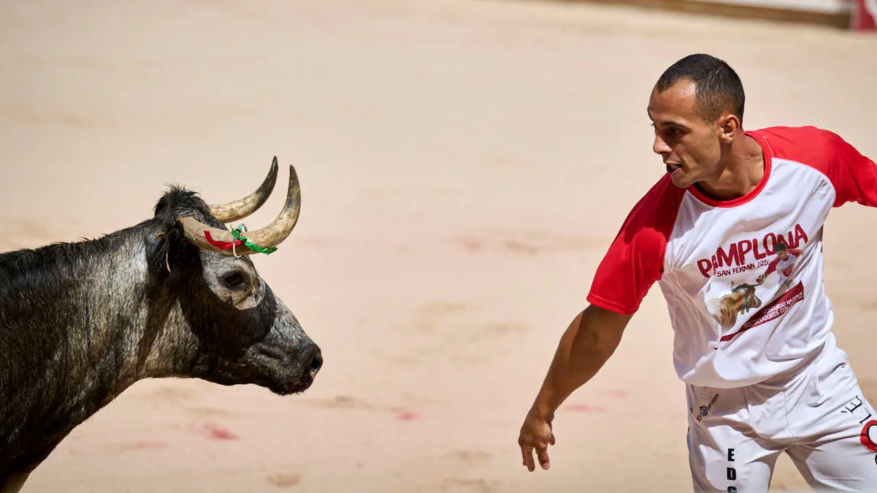 Concurso de anillas enla Plaza de Toros de Pamplona durante San Ferm&iacute;n 2026. PABLO LASAOSA