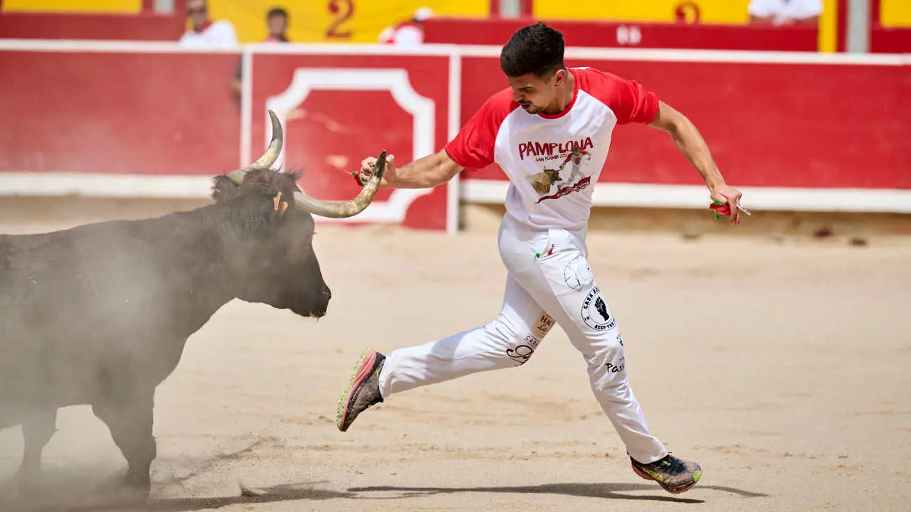 Concurso de anillas enla Plaza de Toros de Pamplona durante San Ferm&iacute;n 2026. PABLO LASAOSA