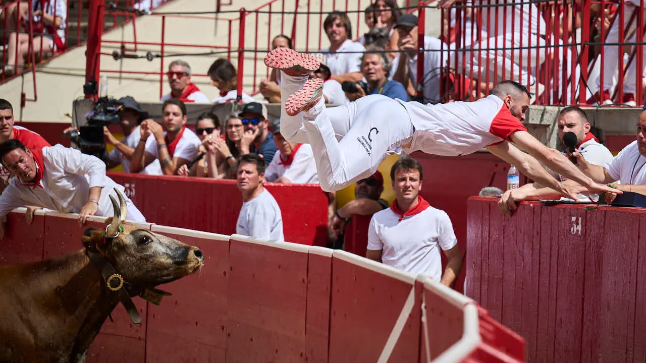 Concurso de anillas enla Plaza de Toros de Pamplona durante San Ferm&iacute;n 2026. PABLO LASAOSA