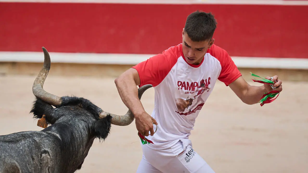 Concurso de anillas enla Plaza de Toros de Pamplona durante San Ferm&iacute;n 2026. PABLO LASAOSA