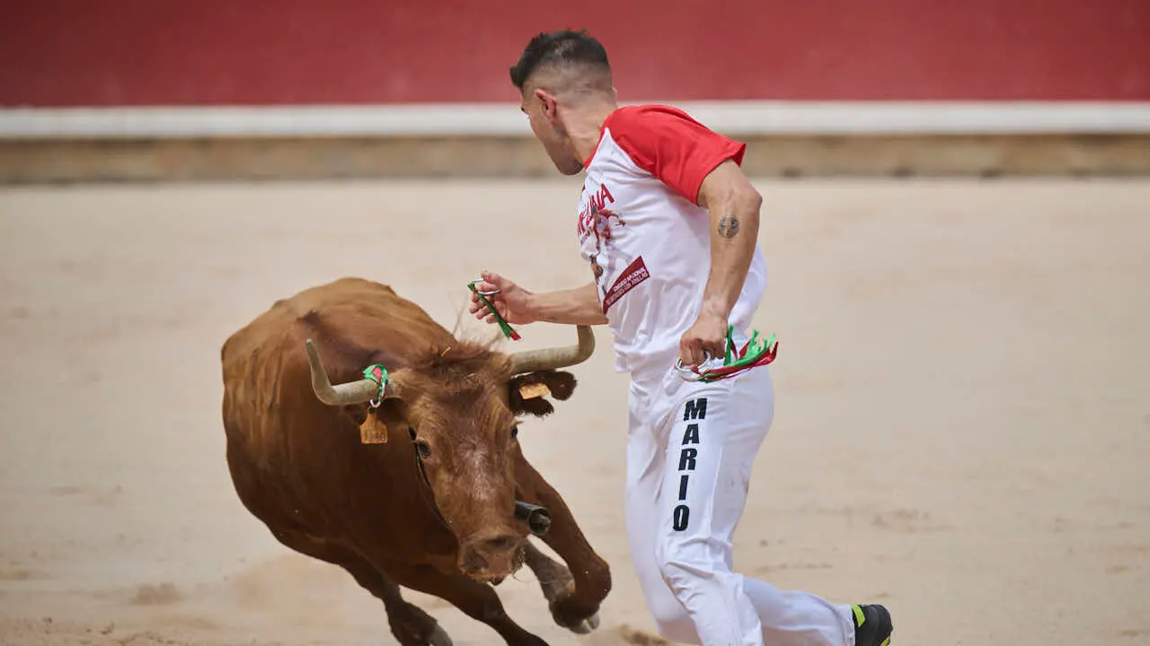 Concurso de anillas enla Plaza de Toros de Pamplona durante San Ferm&iacute;n 2026. PABLO LASAOSA