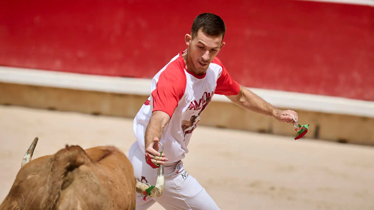 Concurso de anillas enla Plaza de Toros de Pamplona durante San Ferm&iacute;n 2026. PABLO LASAOSA