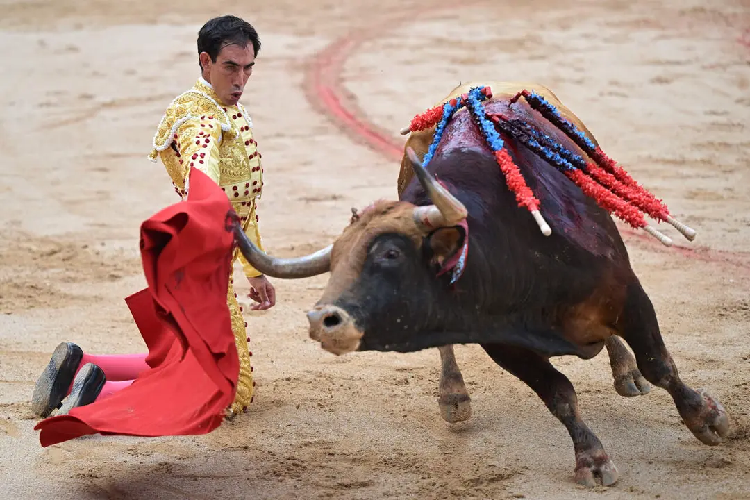 El torero Jim&eacute;nez Fortes durante la lidia a su primer toro de la tarde en la octava de abono de la Feria del Toro de los Sanfermines 2026 con toros de la ganader&iacute;a gaditana de La Palmosilla y en la que comparte cartel con los diestros Fernando Adri&aacute;n y Samuel Naval&oacute;n. EFE/ Daniel Fern&aacute;ndez.