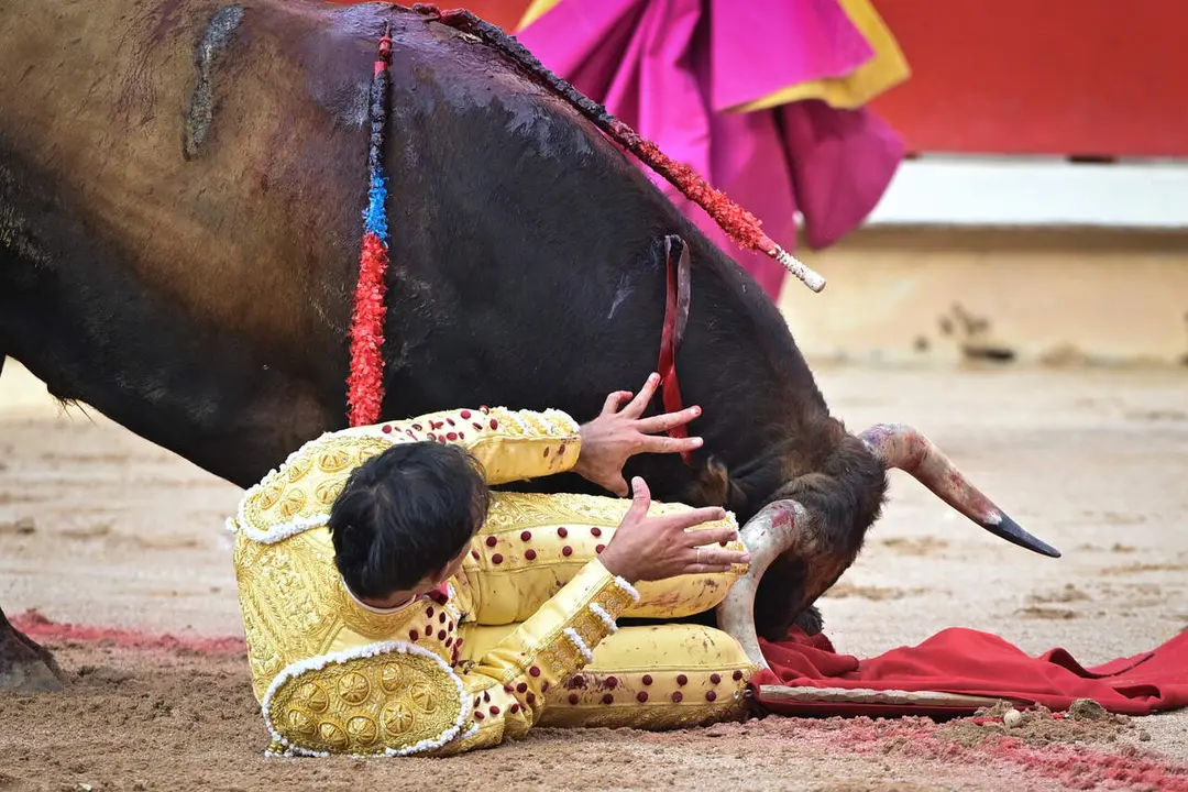 El torero Jim&eacute;nez Fortes pierde el equilibrio y se cae delante de la cara del toro durante la lidia a su segundo de la tarde en la octava de abono de la Feria del Toro de los Sanfermines 2026 con toros de la ganader&iacute;a gaditana de La Palmosilla y en la que comparte cartel con los diestros Fernando Adri&aacute;n y Samuel Naval&oacute;n. EFE/ Daniel Fern&aacute;ndez.