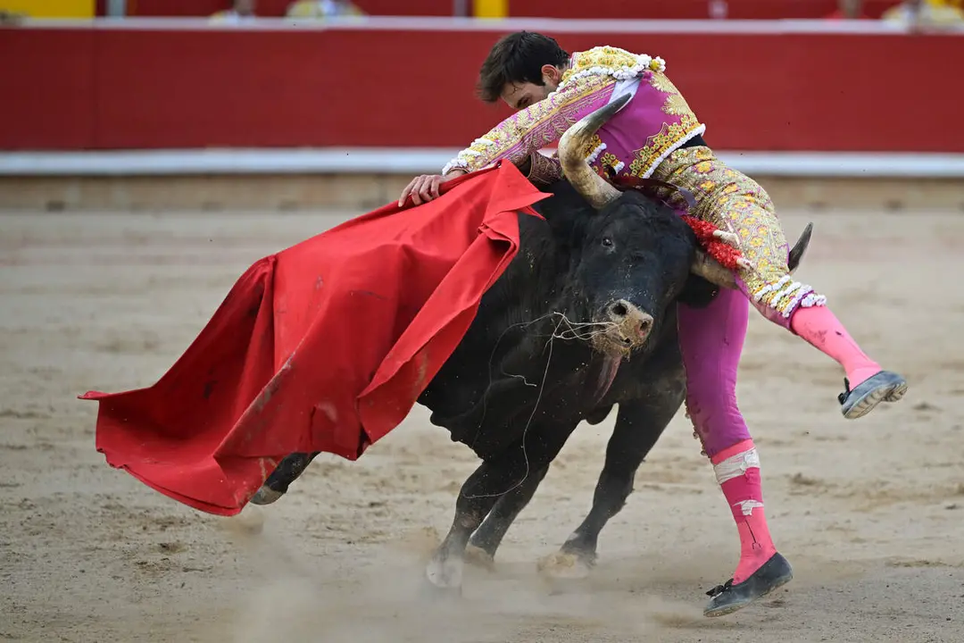 El torero Samuel Naval&oacute;n es volteado durante la lidia a su segundo toro de la tarde en la octava de abono de la Feria del Toro de los Sanfermines 2026 con toros de la ganader&iacute;a gaditana de La Palmosilla y en la que comparte cartel con los diestros Jim&eacute;nez Fortes y Fernando Adri&aacute;n. EFE/ Daniel Fern&aacute;ndez.