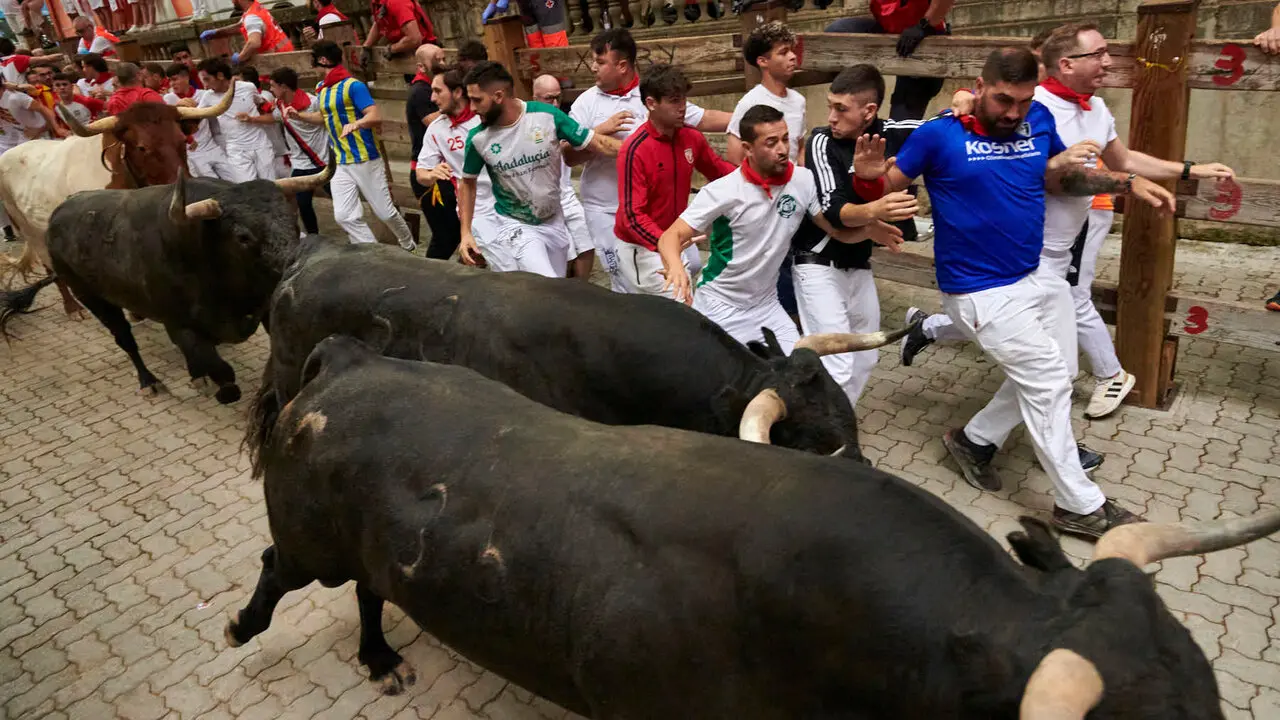 S&eacute;ptimo encierro de San Ferm&iacute;n con toros de Miura desde la bajada al callej&oacute;n. IRANZU LARRASOA&Ntilde;A