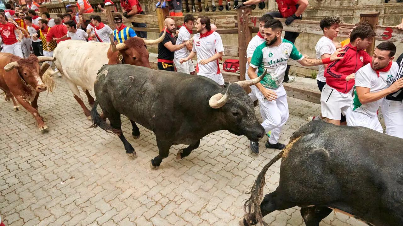 S&eacute;ptimo encierro de San Ferm&iacute;n con toros de Miura desde la bajada al callej&oacute;n. IRANZU LARRASOA&Ntilde;A