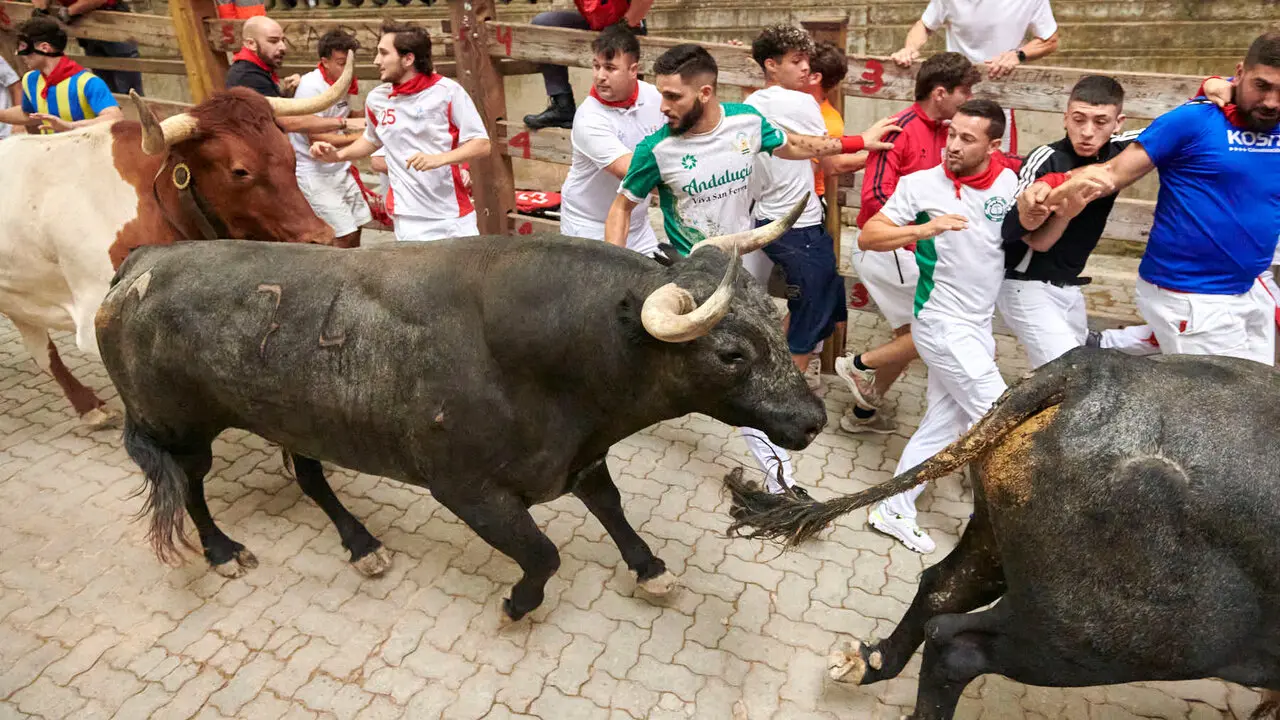 S&eacute;ptimo encierro de San Ferm&iacute;n con toros de Miura desde la bajada al callej&oacute;n. IRANZU LARRASOA&Ntilde;A
