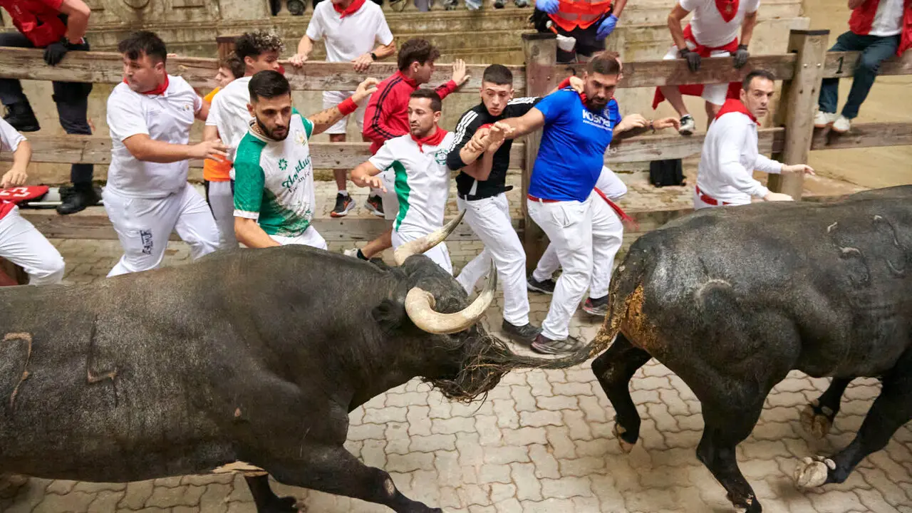 S&eacute;ptimo encierro de San Ferm&iacute;n con toros de Miura desde la bajada al callej&oacute;n. IRANZU LARRASOA&Ntilde;A