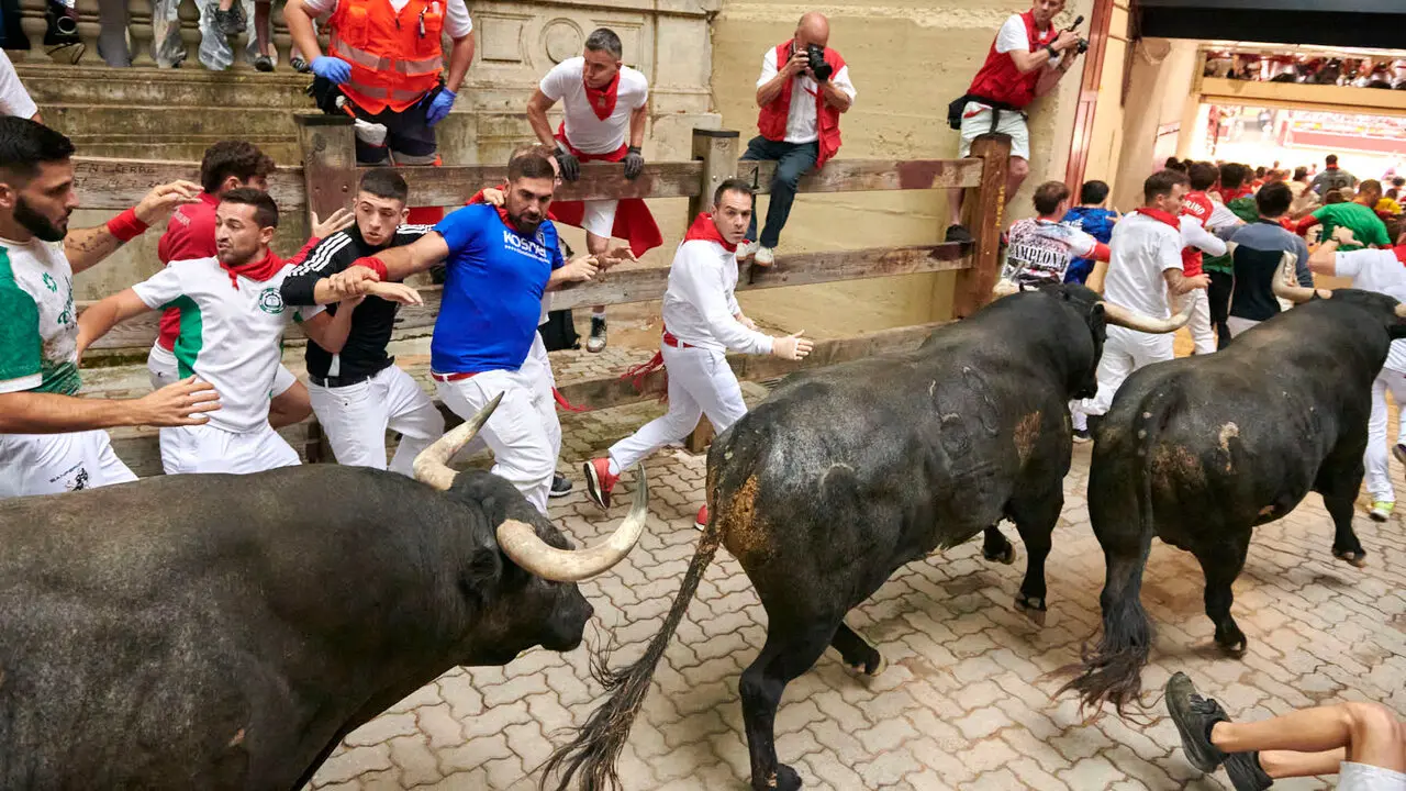 S&eacute;ptimo encierro de San Ferm&iacute;n con toros de Miura desde la bajada al callej&oacute;n. IRANZU LARRASOA&Ntilde;A