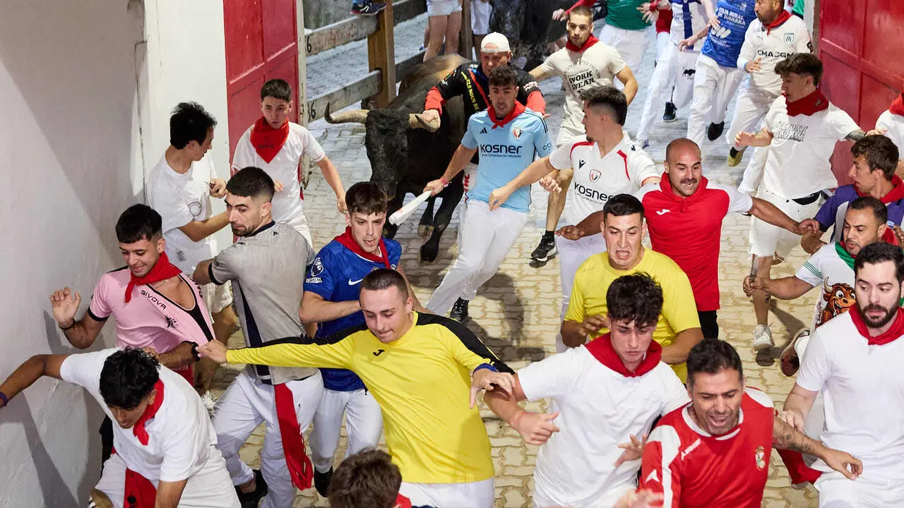 S&eacute;ptimo encierro de San Ferm&iacute;n 2026 con toros de la ganader&iacute;a de Miura en el tramo del callej&oacute;n y entrada a la plaza. I&Ntilde;IGO ALZUGARAY