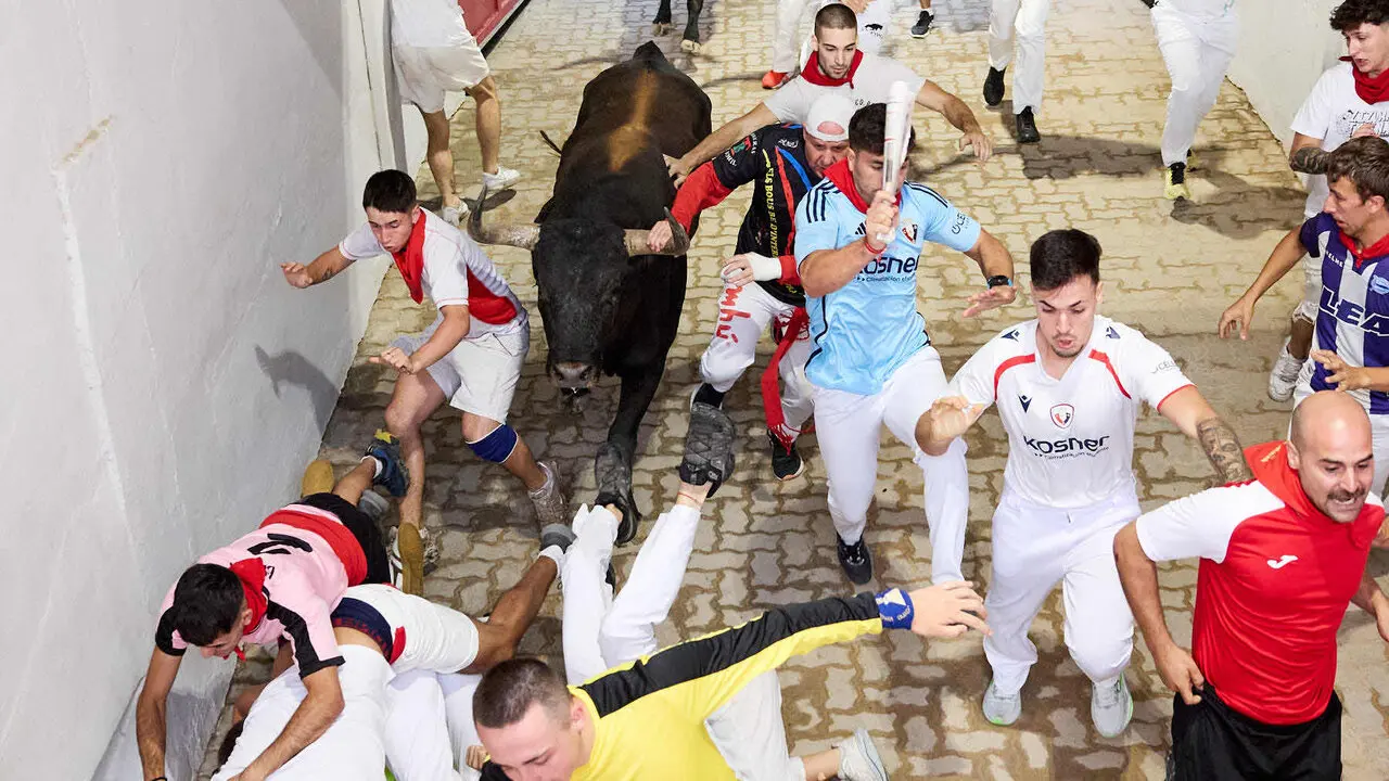S&eacute;ptimo encierro de San Ferm&iacute;n 2026 con toros de la ganader&iacute;a de Miura en el tramo del callej&oacute;n y entrada a la plaza. I&Ntilde;IGO ALZUGARAY