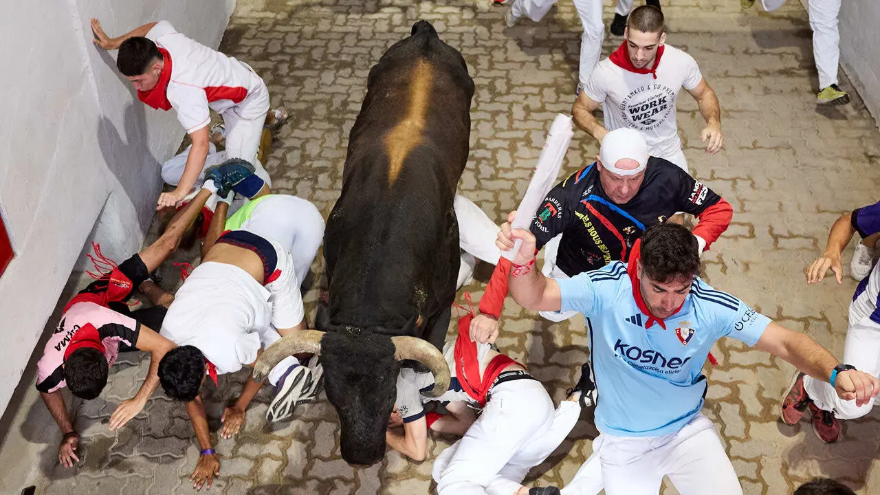 S&eacute;ptimo encierro de San Ferm&iacute;n 2026 con toros de la ganader&iacute;a de Miura en el tramo del callej&oacute;n y entrada a la plaza. I&Ntilde;IGO ALZUGARAY