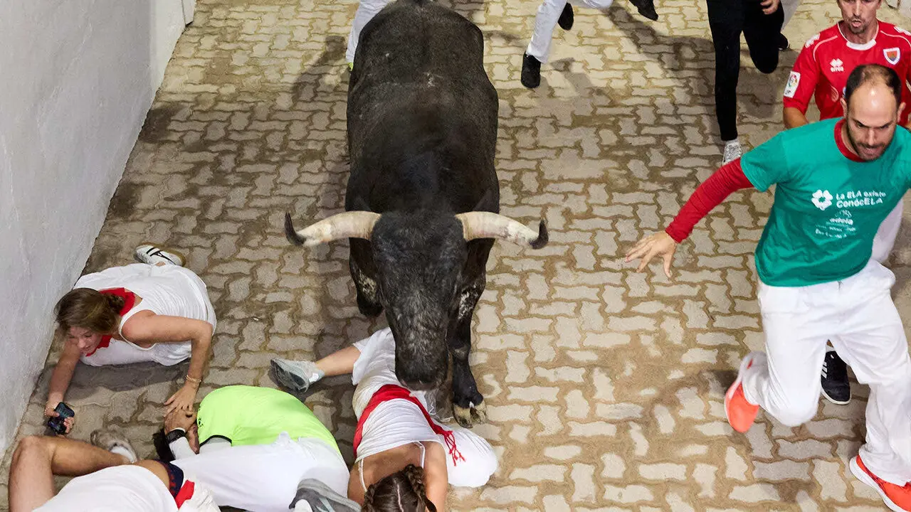 S&eacute;ptimo encierro de San Ferm&iacute;n 2026 con toros de la ganader&iacute;a de Miura en el tramo del callej&oacute;n y entrada a la plaza. I&Ntilde;IGO ALZUGARAY