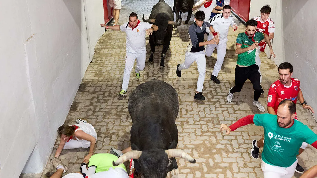 S&eacute;ptimo encierro de San Ferm&iacute;n 2026 con toros de la ganader&iacute;a de Miura en el tramo del callej&oacute;n y entrada a la plaza. I&Ntilde;IGO ALZUGARAY