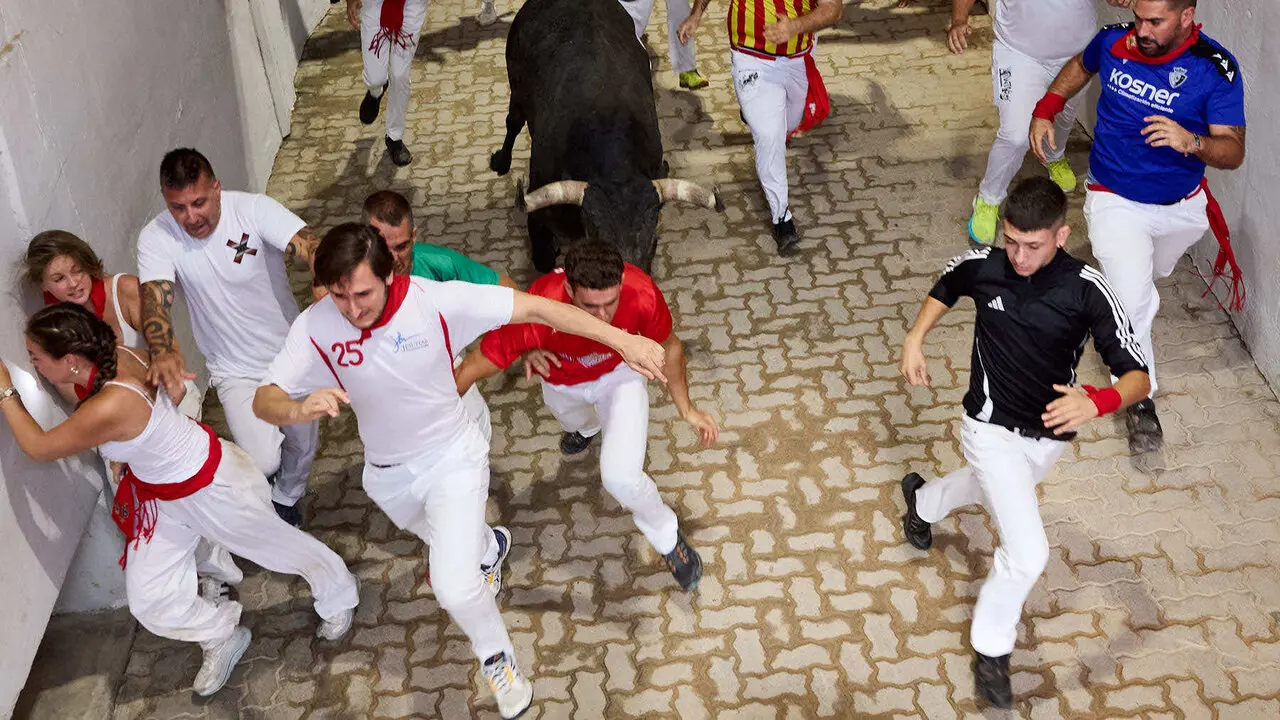 S&eacute;ptimo encierro de San Ferm&iacute;n 2026 con toros de la ganader&iacute;a de Miura en el tramo del callej&oacute;n y entrada a la plaza. I&Ntilde;IGO ALZUGARAY