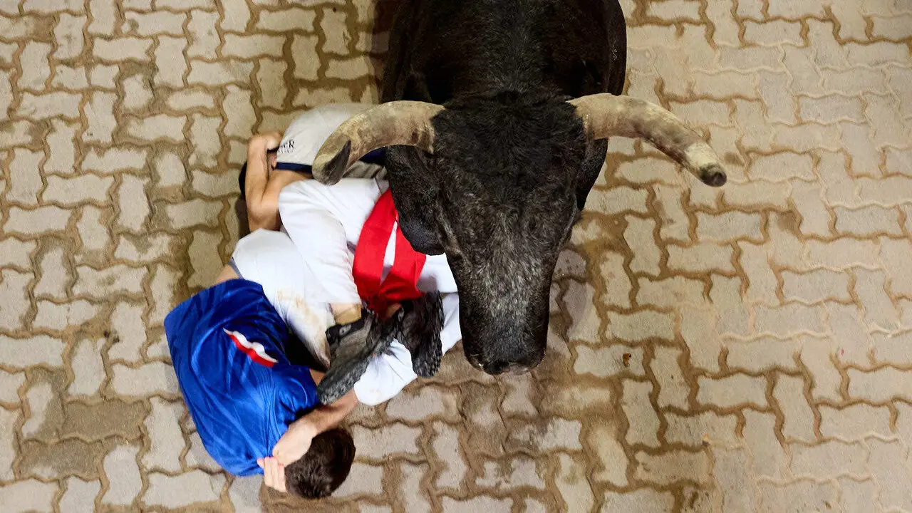 S&eacute;ptimo encierro de San Ferm&iacute;n 2026 con toros de la ganader&iacute;a de Miura en el tramo del callej&oacute;n y entrada a la plaza. I&Ntilde;IGO ALZUGARAY