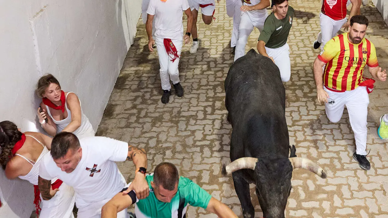 S&eacute;ptimo encierro de San Ferm&iacute;n 2026 con toros de la ganader&iacute;a de Miura en el tramo del callej&oacute;n y entrada a la plaza. I&Ntilde;IGO ALZUGARAY