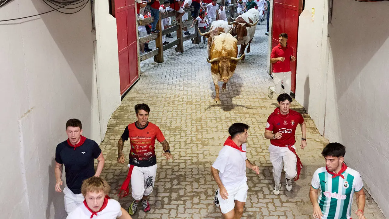 S&eacute;ptimo encierro de San Ferm&iacute;n 2026 con toros de la ganader&iacute;a de Miura en el tramo del callej&oacute;n y entrada a la plaza. I&Ntilde;IGO ALZUGARAY