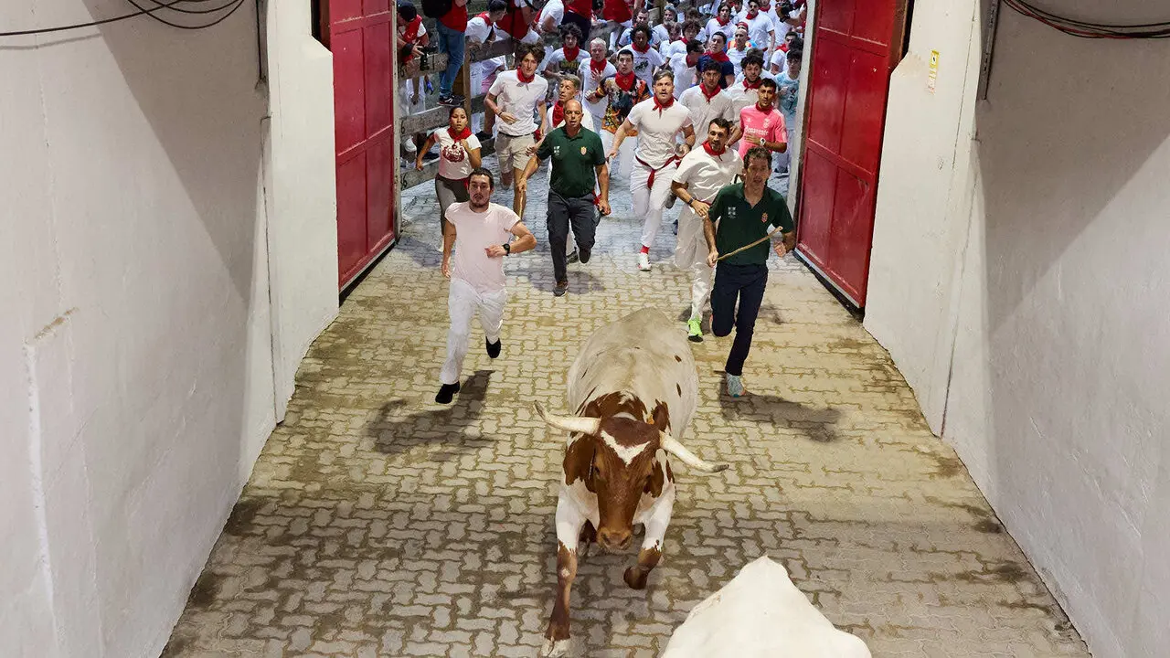 S&eacute;ptimo encierro de San Ferm&iacute;n 2026 con toros de la ganader&iacute;a de Miura en el tramo del callej&oacute;n y entrada a la plaza. I&Ntilde;IGO ALZUGARAY
