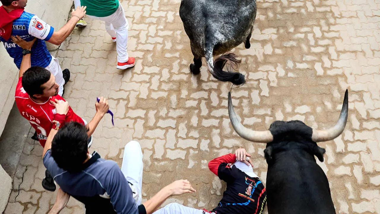 S&eacute;ptimo encierro de San Ferm&iacute;n 2026 con toros de la ganader&iacute;a de Miura en el tramo del callej&oacute;n y entrada a la plaza. I&Ntilde;IGO ALZUGARAY