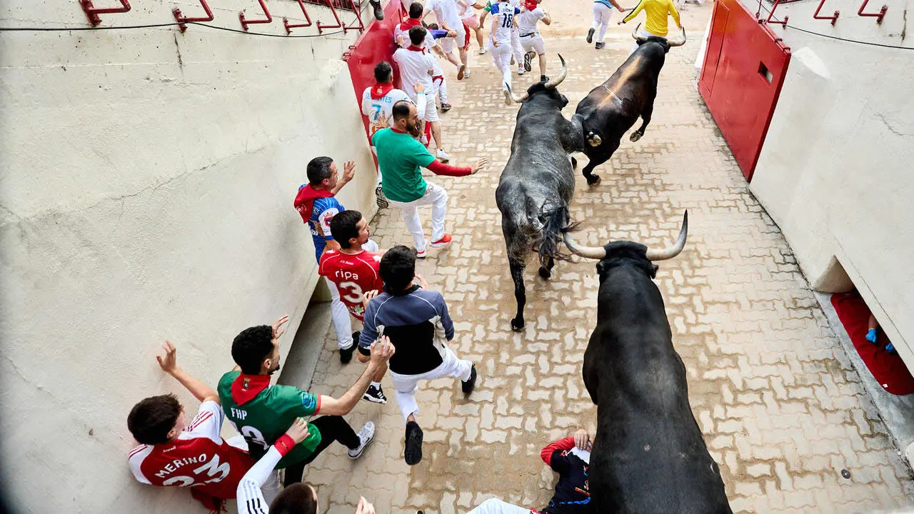 S&eacute;ptimo encierro de San Ferm&iacute;n 2026 con toros de la ganader&iacute;a de Miura en el tramo del callej&oacute;n y entrada a la plaza. I&Ntilde;IGO ALZUGARAY