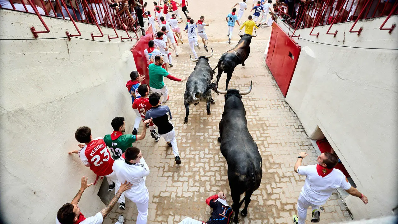 S&eacute;ptimo encierro de San Ferm&iacute;n 2026 con toros de la ganader&iacute;a de Miura en el tramo del callej&oacute;n y entrada a la plaza. I&Ntilde;IGO ALZUGARAY