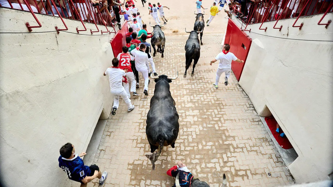 S&eacute;ptimo encierro de San Ferm&iacute;n 2026 con toros de la ganader&iacute;a de Miura en el tramo del callej&oacute;n y entrada a la plaza. I&Ntilde;IGO ALZUGARAY