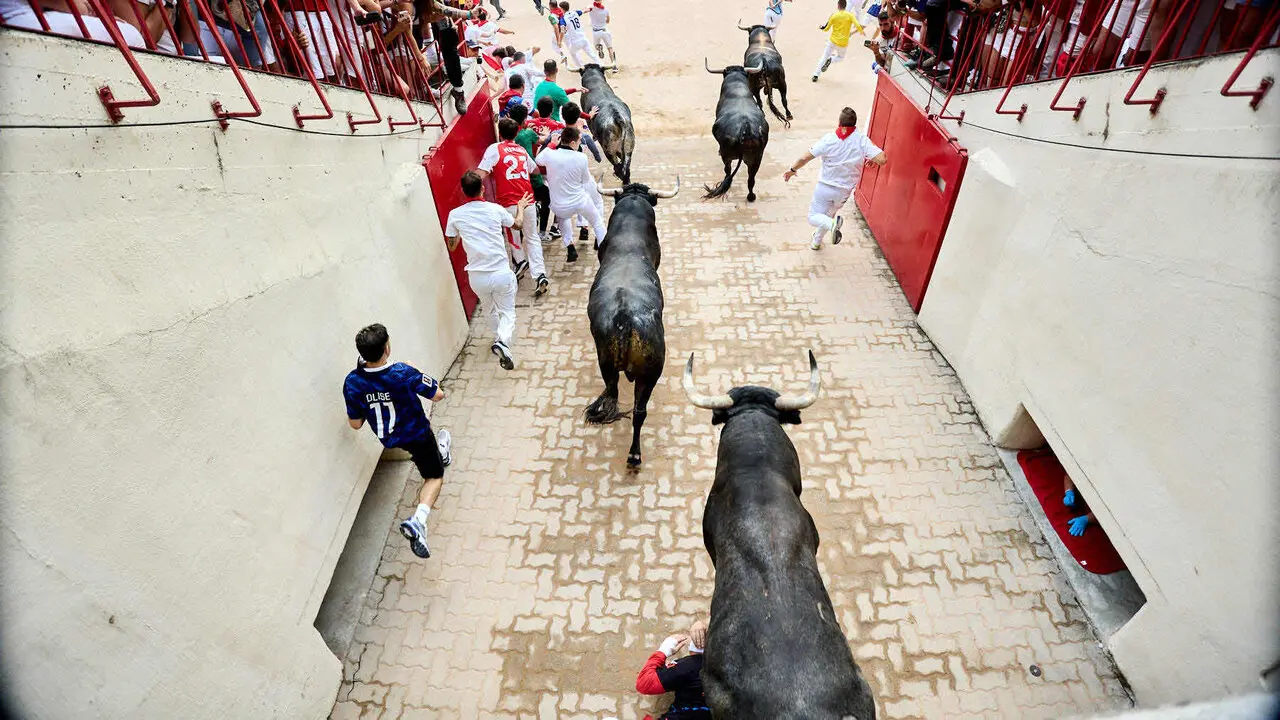 S&eacute;ptimo encierro de San Ferm&iacute;n 2026 con toros de la ganader&iacute;a de Miura en el tramo del callej&oacute;n y entrada a la plaza. I&Ntilde;IGO ALZUGARAY