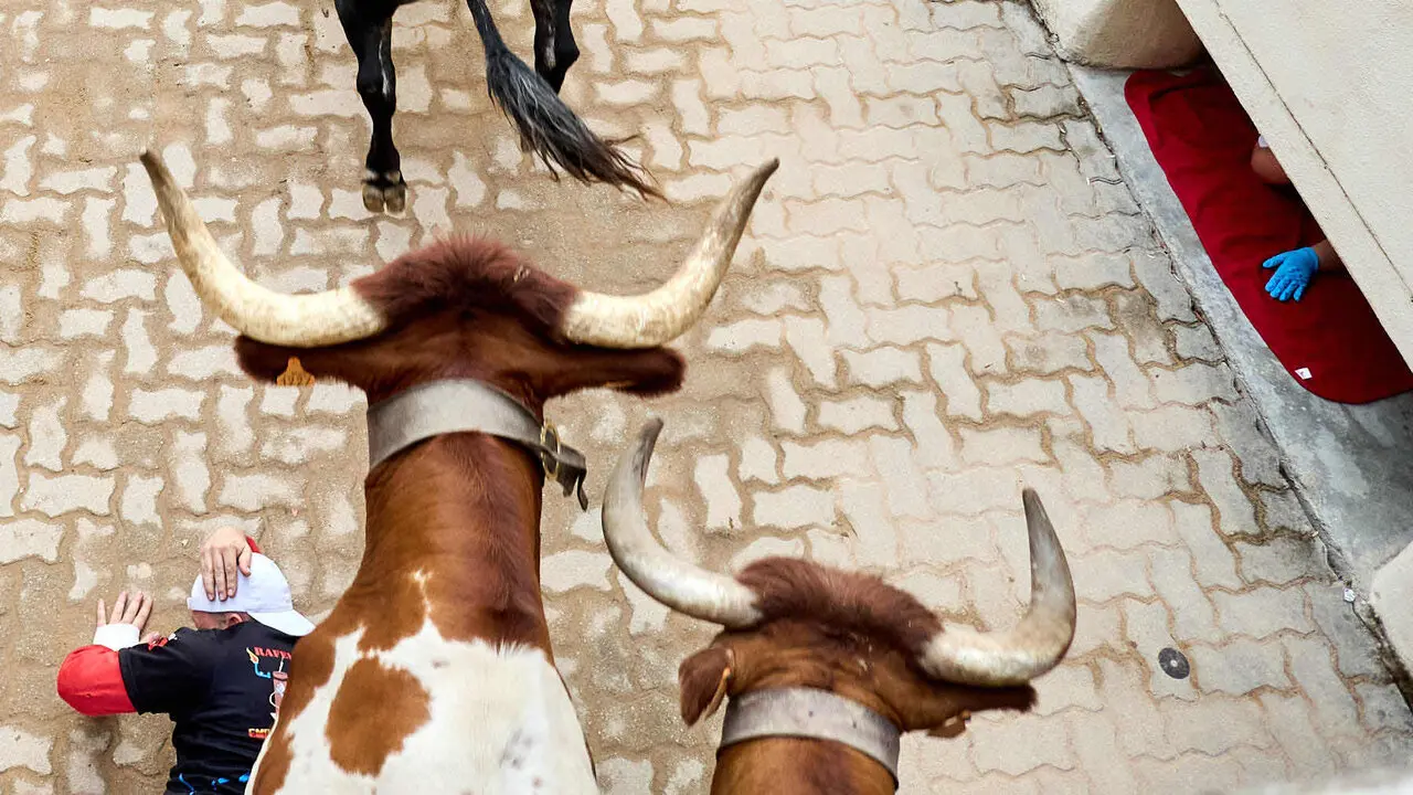 S&eacute;ptimo encierro de San Ferm&iacute;n 2026 con toros de la ganader&iacute;a de Miura en el tramo del callej&oacute;n y entrada a la plaza. I&Ntilde;IGO ALZUGARAY