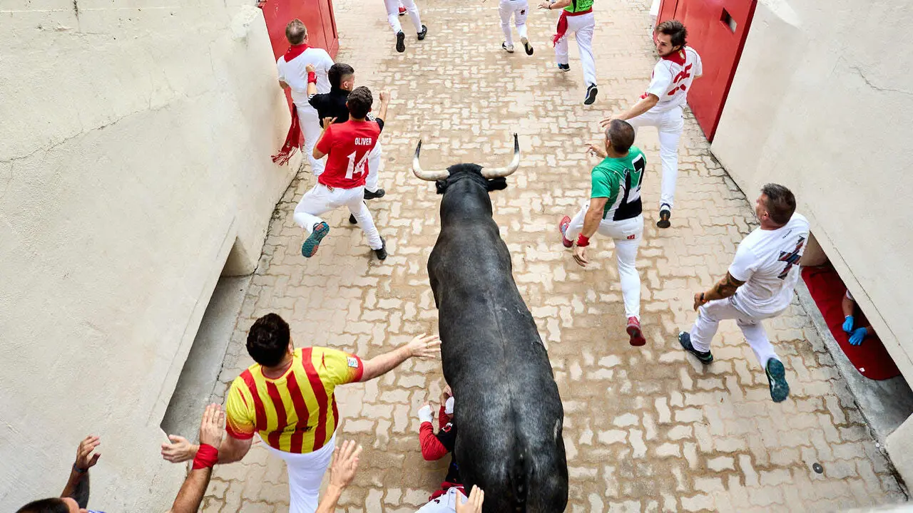 S&eacute;ptimo encierro de San Ferm&iacute;n 2026 con toros de la ganader&iacute;a de Miura en el tramo del callej&oacute;n y entrada a la plaza. I&Ntilde;IGO ALZUGARAY