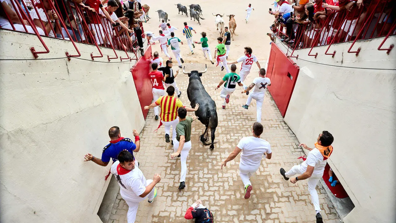 S&eacute;ptimo encierro de San Ferm&iacute;n 2026 con toros de la ganader&iacute;a de Miura en el tramo del callej&oacute;n y entrada a la plaza. I&Ntilde;IGO ALZUGARAY
