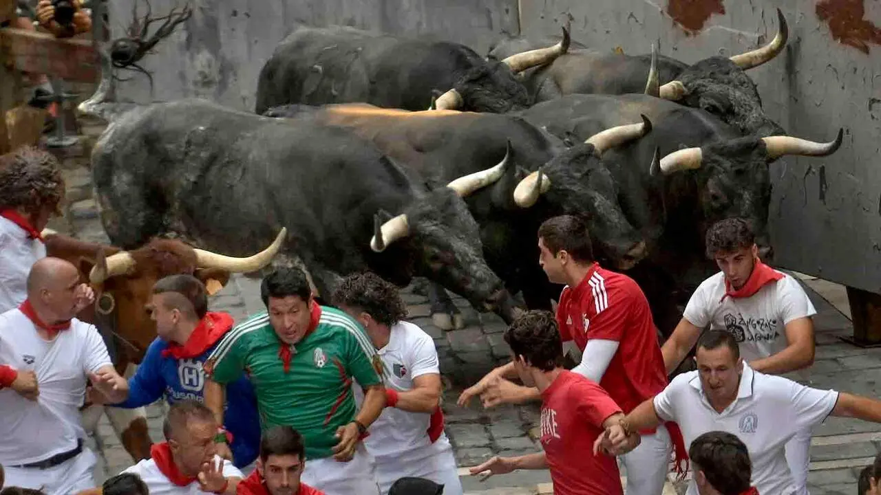 Los toros de la ganader&iacute;a sevillana de Miura durante el s&eacute;ptimo encierro de los Sanfermines 2026 este lunes en Pamplona. EFE/ Jose Luis Larrion