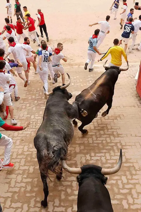 PAMPLONA, 13/07/2026.- Las reses de la ganader&iacute;a sevillana de Miura entran en la Plaza de Toros durante el s&eacute;ptimo encierro de los Sanfermines 2026, este lunes en Pamplona. EFE/Villar L&oacute;pez