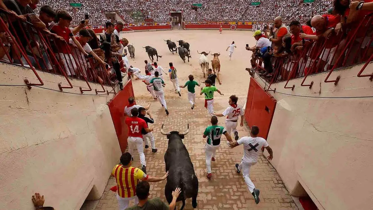 PAMPLONA, 13/07/2026.- Las reses de la ganader&iacute;a sevillana de Miura entran en la Plaza de Toros durante el s&eacute;ptimo encierro de los Sanfermines 2026, este lunes en Pamplona. EFE/Villar L&oacute;pez