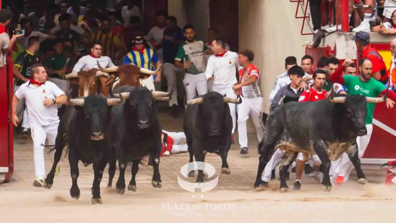 S&eacute;ptimo encierro de San Ferm&iacute;n 2026 con toros de la ganader&iacute;a de Miura en la plaza de toros. CASA DE MISERICORDIA
