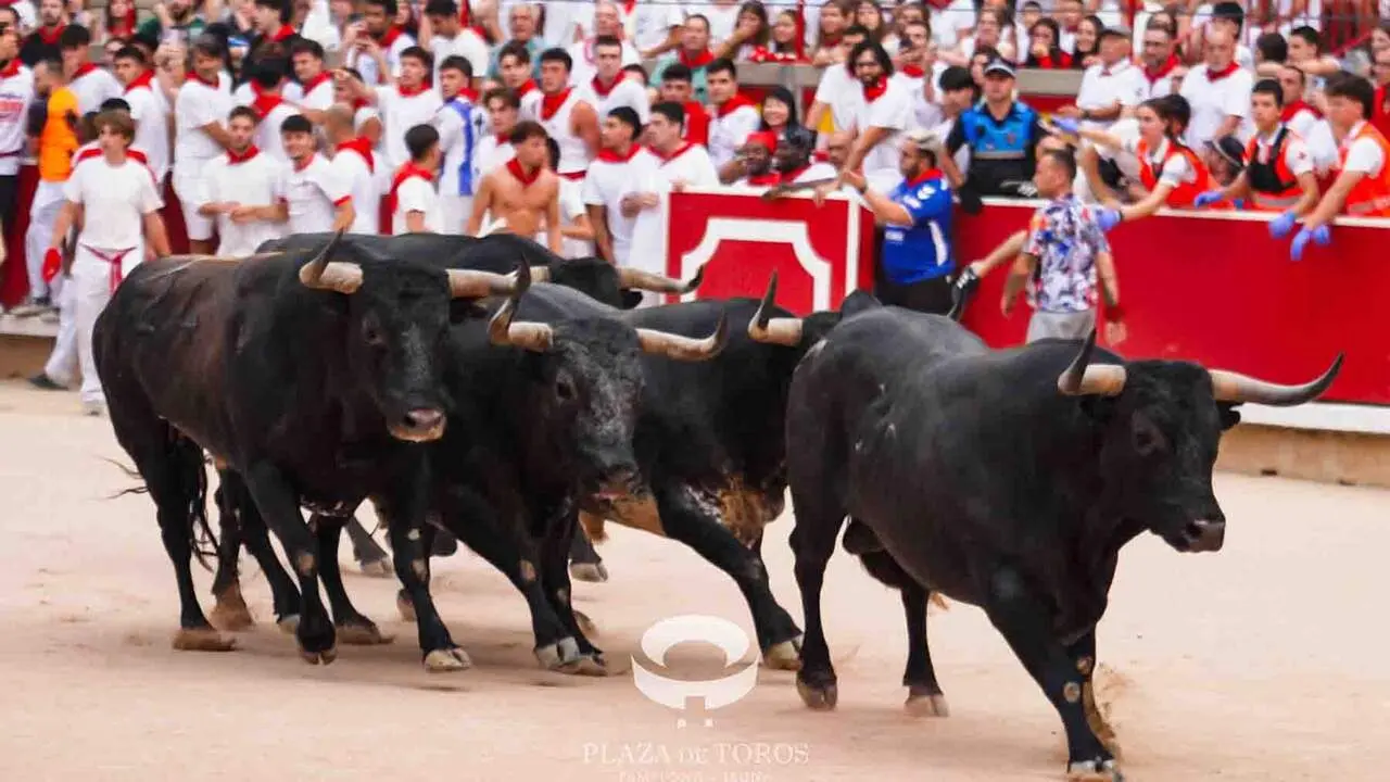 S&eacute;ptimo encierro de San Ferm&iacute;n 2026 con toros de la ganader&iacute;a de Miura en la plaza de toros. CASA DE MISERICORDIA