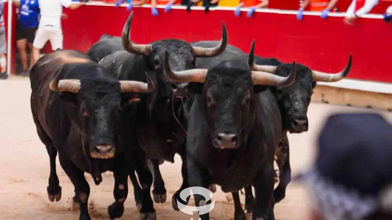 S&eacute;ptimo encierro de San Ferm&iacute;n 2026 con toros de la ganader&iacute;a de Miura en la plaza de toros. CASA DE MISERICORDIA