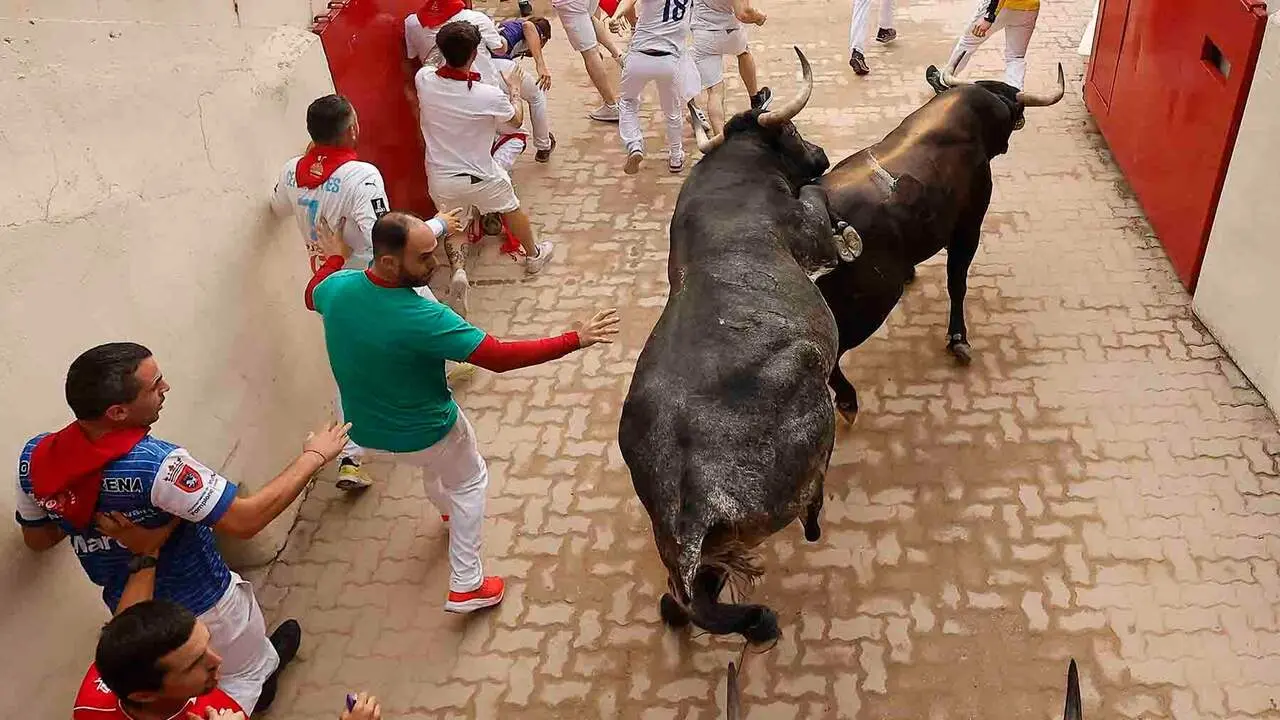 PAMPLONA, 13/07/2026.- Las reses de la ganader&iacute;a sevillana de Miura entran en la Plaza de Toros durante el s&eacute;ptimo encierro de los Sanfermines 2026, este lunes en Pamplona. EFE/Villar L&oacute;pez