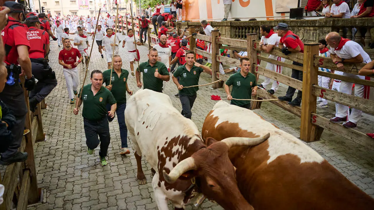 &Uacute;ltimo encierro de San Ferm&iacute;n 2026 con toros de Jandilla en la bajada al callej&oacute;n. PABLO LASAOSA