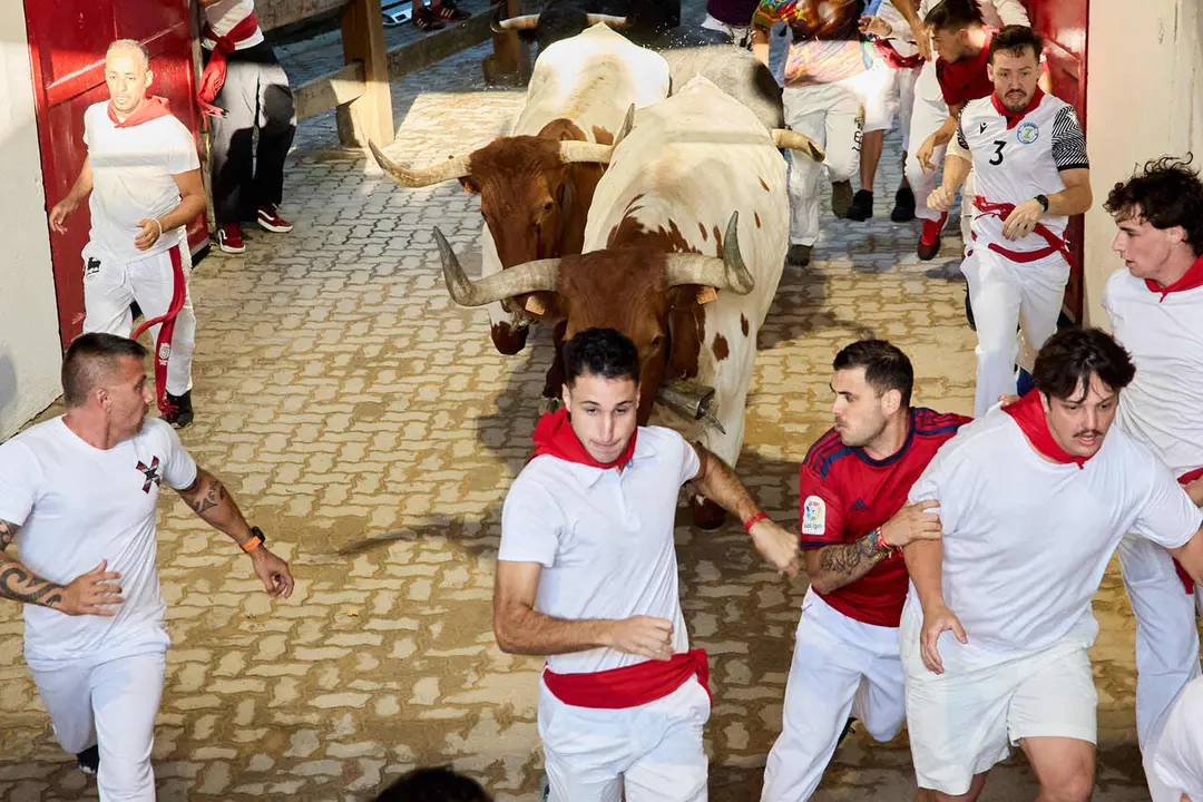 Octavo y &uacute;ltimo encierro de San Ferm&iacute;n 2026 con toros de la ganader&iacute;a de Jandilla en el tramo del callej&oacute;n y entrada a la plaza. I&Ntilde;IGO ALZUGARAY