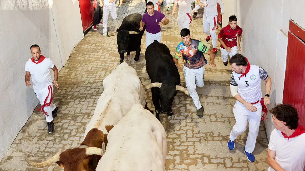 Octavo y &uacute;ltimo encierro de San Ferm&iacute;n 2026 con toros de la ganader&iacute;a de Jandilla en el tramo del callej&oacute;n y entrada a la plaza. I&Ntilde;IGO ALZUGARAY
