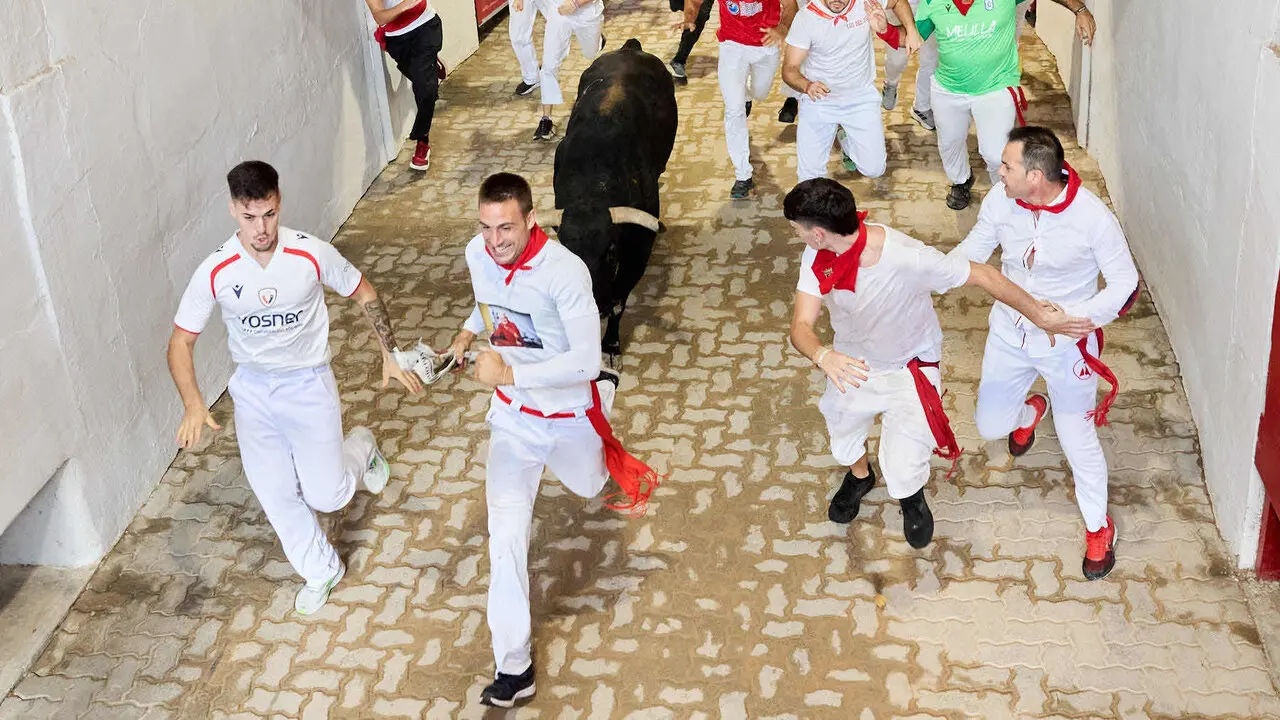 Octavo y &uacute;ltimo encierro de San Ferm&iacute;n 2026 con toros de la ganader&iacute;a de Jandilla en el tramo del callej&oacute;n y entrada a la plaza. I&Ntilde;IGO ALZUGARAY