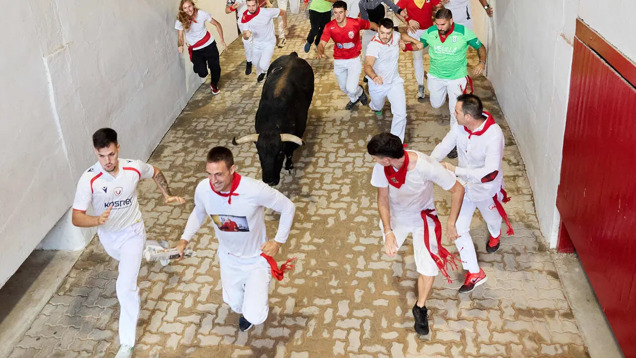 Octavo y &uacute;ltimo encierro de San Ferm&iacute;n 2026 con toros de la ganader&iacute;a de Jandilla en el tramo del callej&oacute;n y entrada a la plaza. I&Ntilde;IGO ALZUGARAY