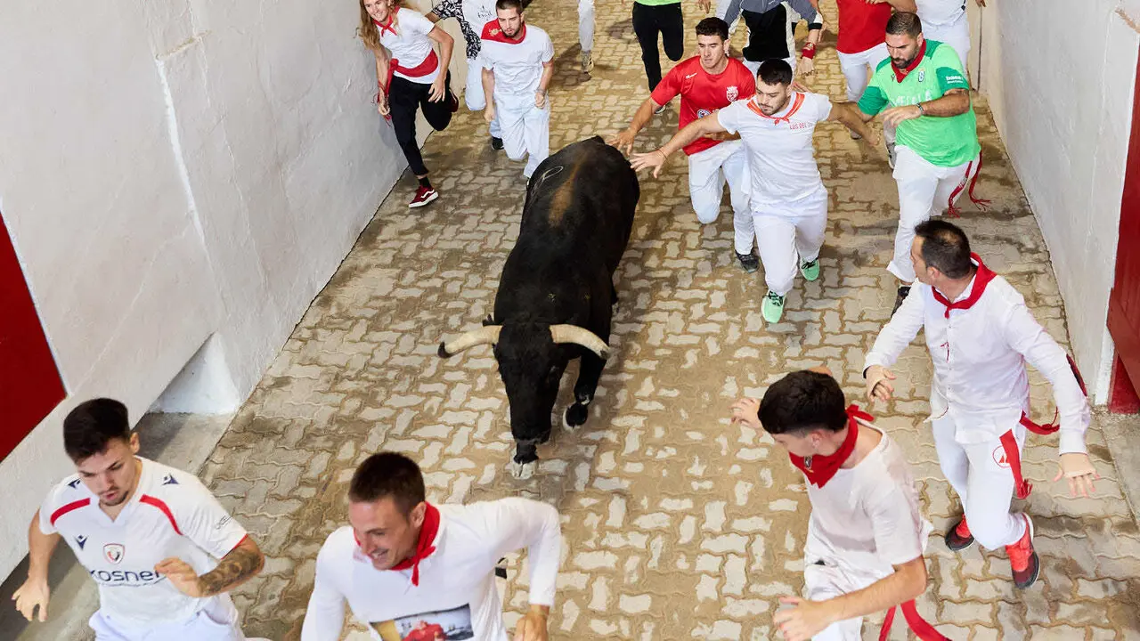 Octavo y &uacute;ltimo encierro de San Ferm&iacute;n 2026 con toros de la ganader&iacute;a de Jandilla en el tramo del callej&oacute;n y entrada a la plaza. I&Ntilde;IGO ALZUGARAY