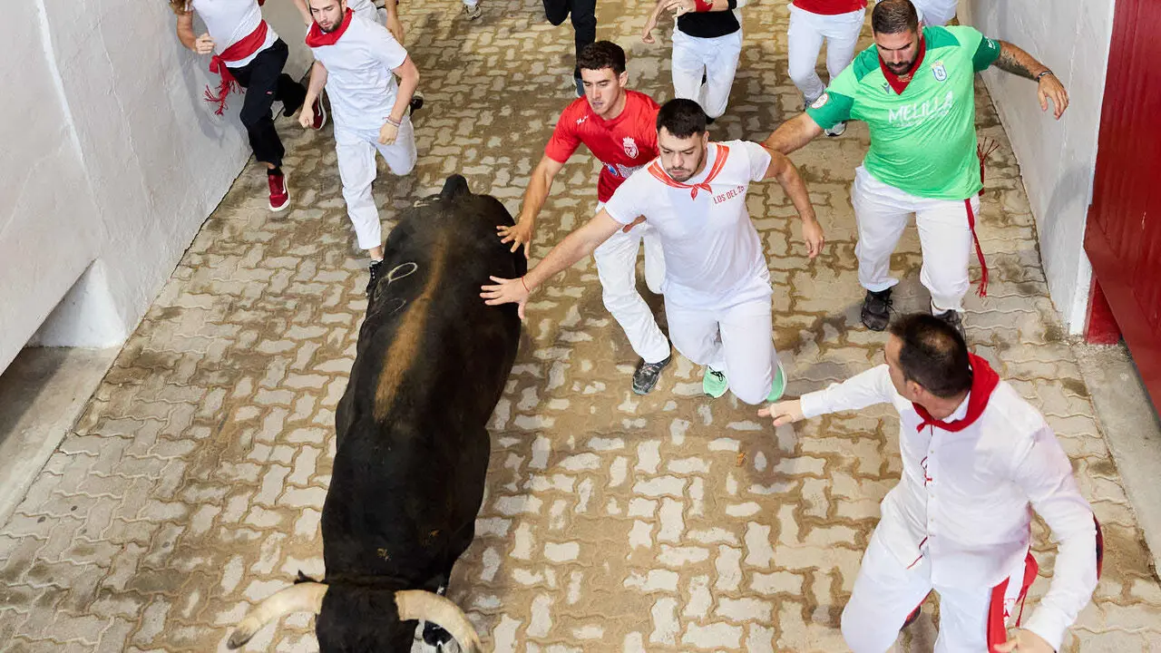 Octavo y &uacute;ltimo encierro de San Ferm&iacute;n 2026 con toros de la ganader&iacute;a de Jandilla en el tramo del callej&oacute;n y entrada a la plaza. I&Ntilde;IGO ALZUGARAY