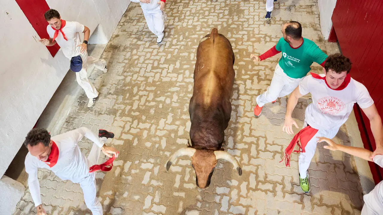 Octavo y &uacute;ltimo encierro de San Ferm&iacute;n 2026 con toros de la ganader&iacute;a de Jandilla en el tramo del callej&oacute;n y entrada a la plaza. I&Ntilde;IGO ALZUGARAY