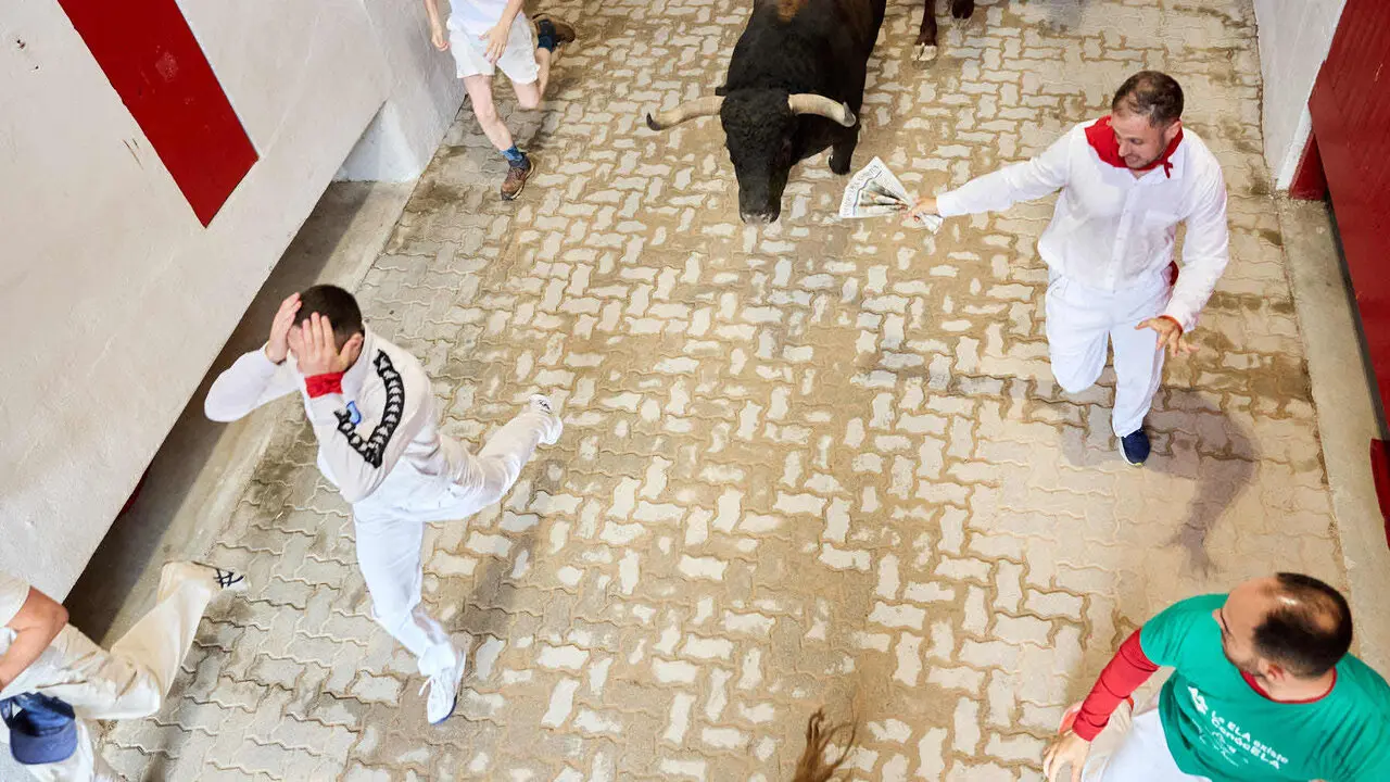 Octavo y &uacute;ltimo encierro de San Ferm&iacute;n 2026 con toros de la ganader&iacute;a de Jandilla en el tramo del callej&oacute;n y entrada a la plaza. I&Ntilde;IGO ALZUGARAY