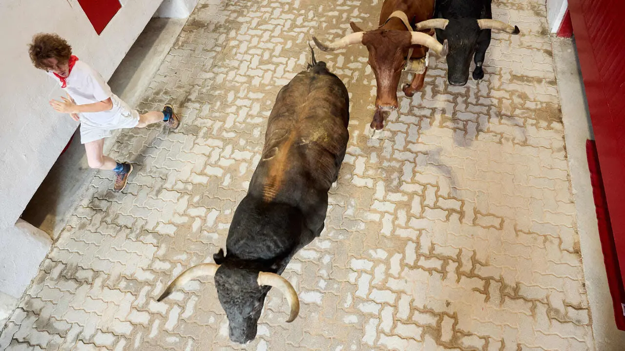 Octavo y &uacute;ltimo encierro de San Ferm&iacute;n 2026 con toros de la ganader&iacute;a de Jandilla en el tramo del callej&oacute;n y entrada a la plaza. I&Ntilde;IGO ALZUGARAY