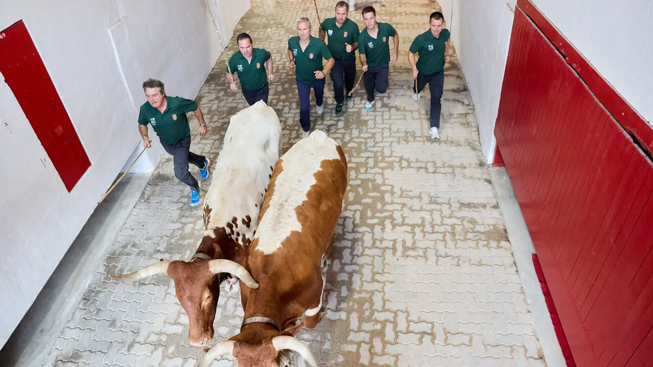 Octavo y &uacute;ltimo encierro de San Ferm&iacute;n 2026 con toros de la ganader&iacute;a de Jandilla en el tramo del callej&oacute;n y entrada a la plaza. I&Ntilde;IGO ALZUGARAY